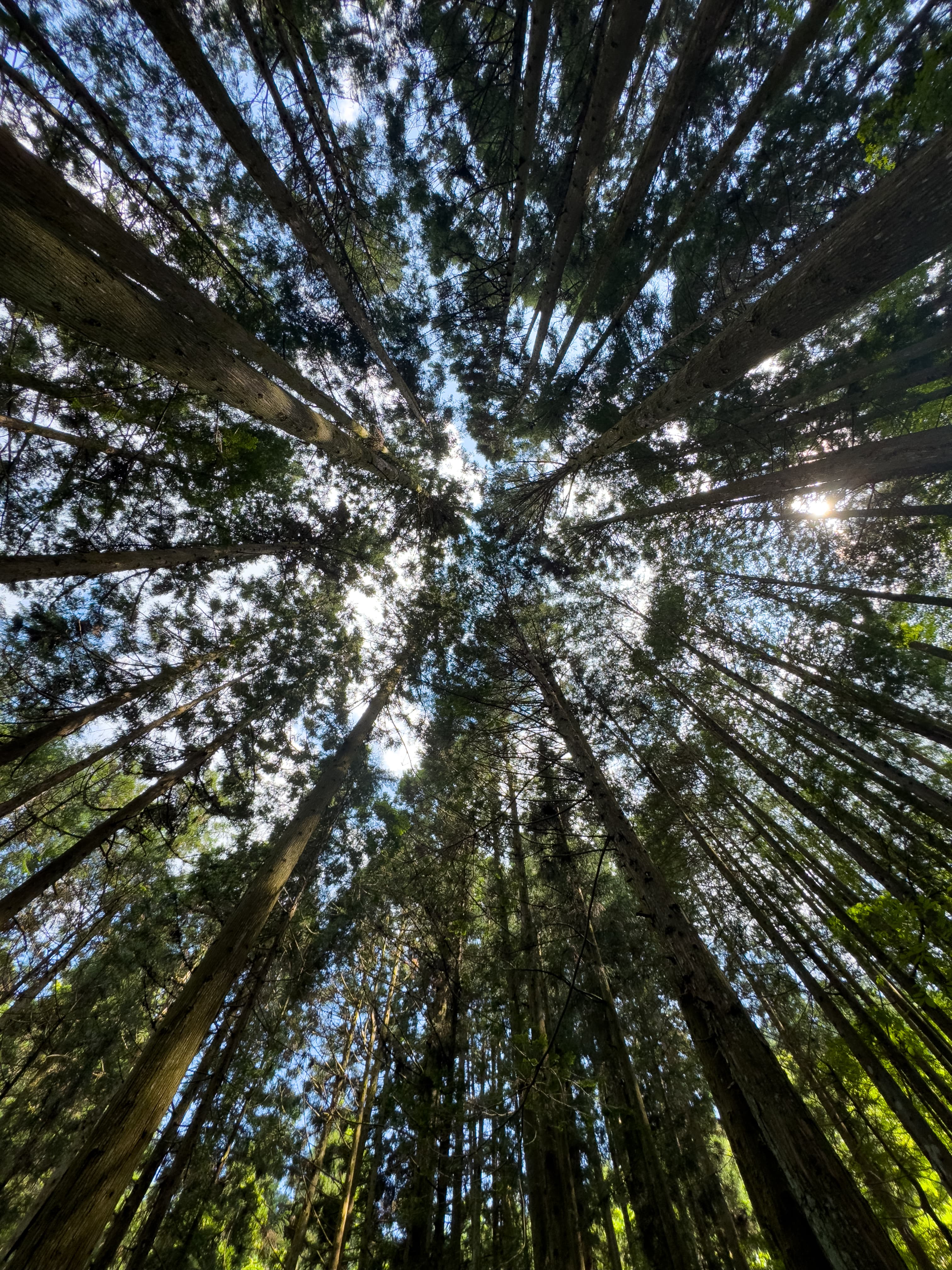 Leadership Assessment